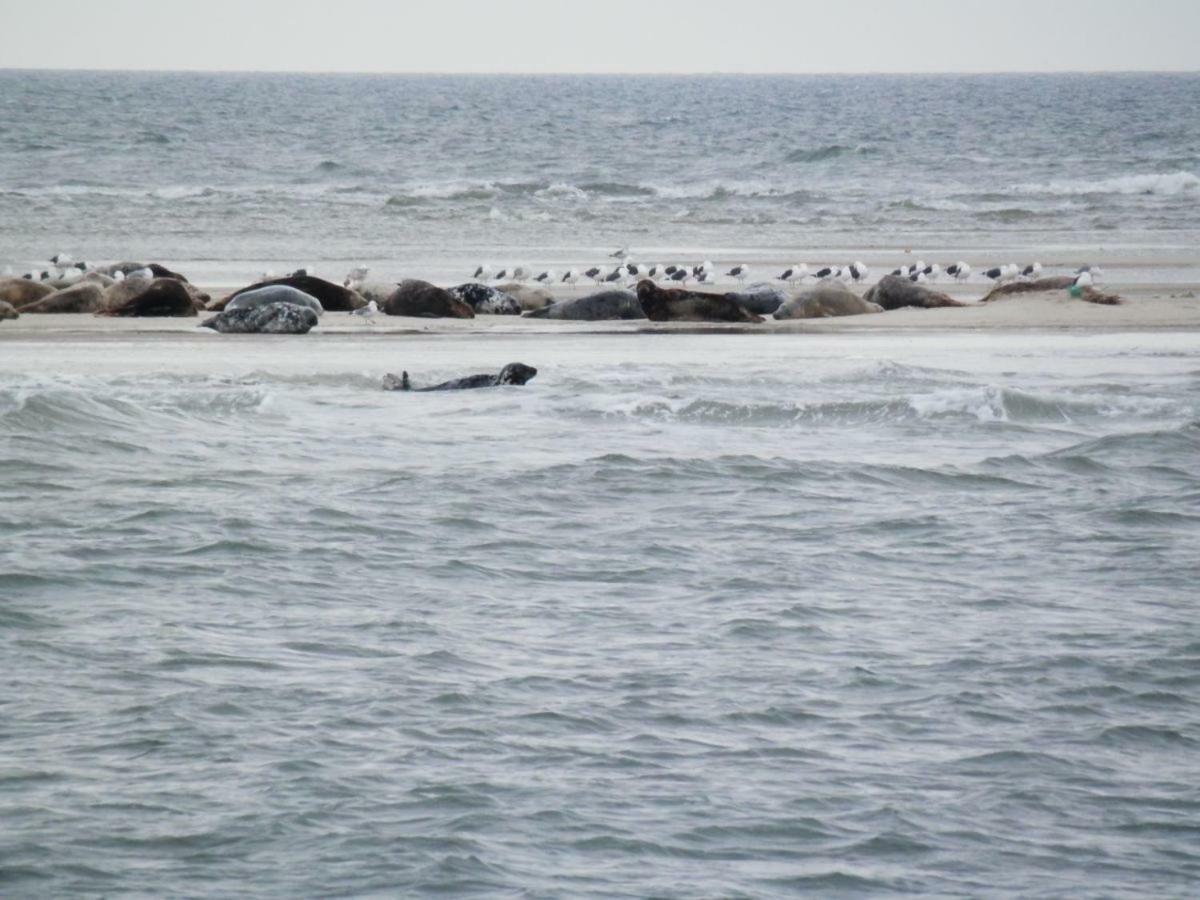 Jugendherberge Westerland Luaran gambar